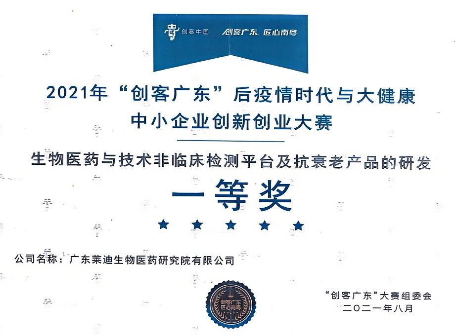 创客广东一等奖